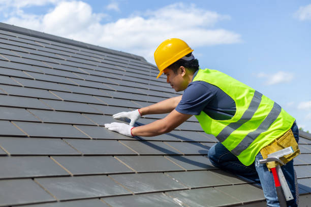 Best Roof Gutter Cleaning  in Mount Carroll, IL