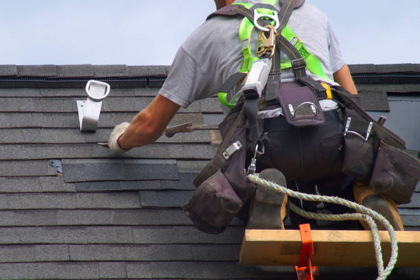 Best Gutter Installation and Roofing  in Mount Carroll, IL