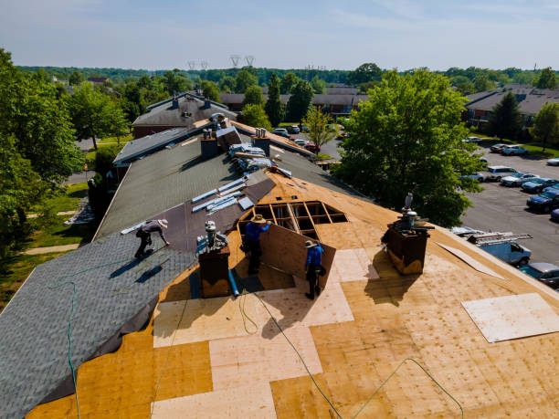 Best Roof Maintenance Services  in Mount Carroll, IL