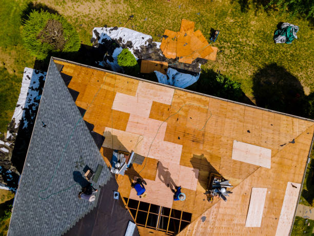Best Roof Maintenance Services  in Mount Carroll, IL