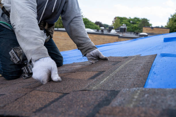 Best Commercial Roofing Services  in Mount Carroll, IL