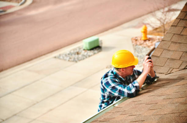 Best Storm Damage Roof Repair  in Mount Carroll, IL