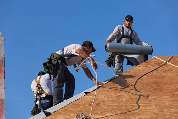 Best Best Roofing Contractors  in Mount Carroll, IL
